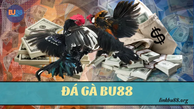 Đá gà BU88